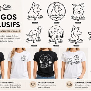 Accueil border collie 2 093556